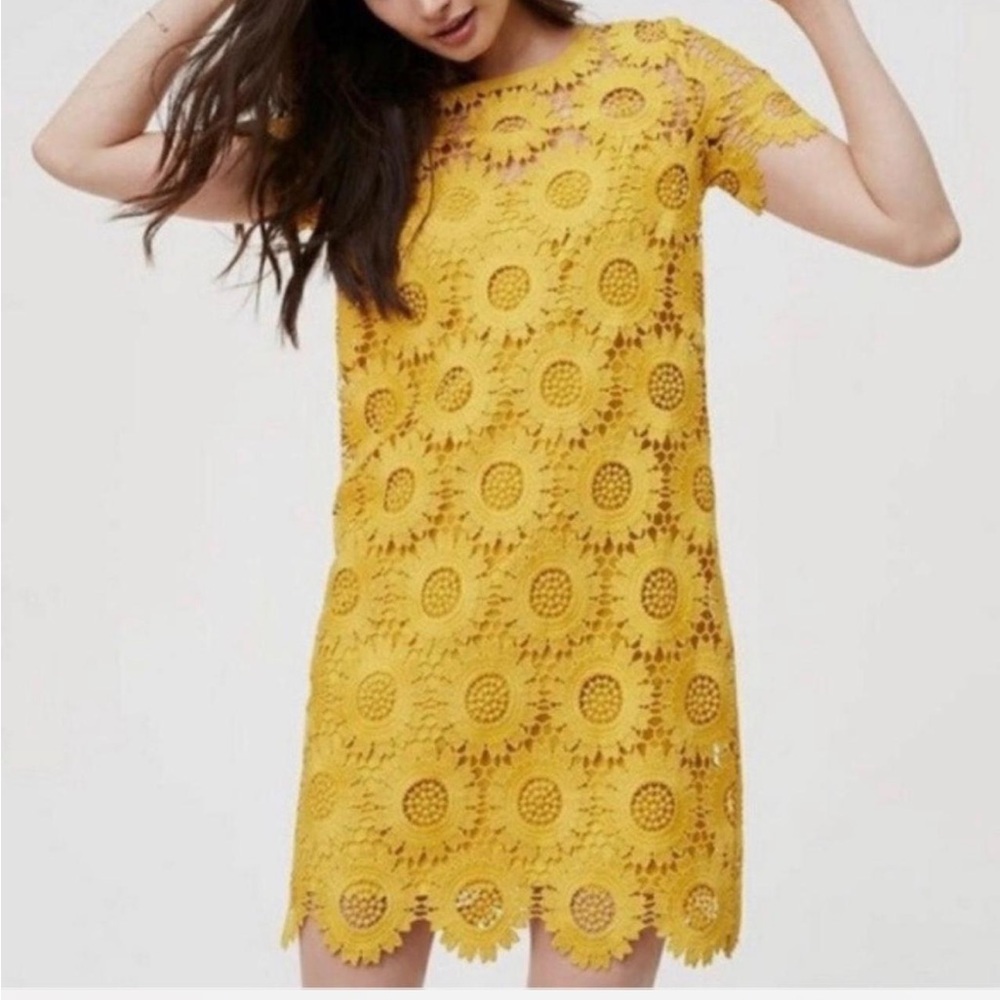 LOFT- Women's yellow sunflower lace dress- Size: 6